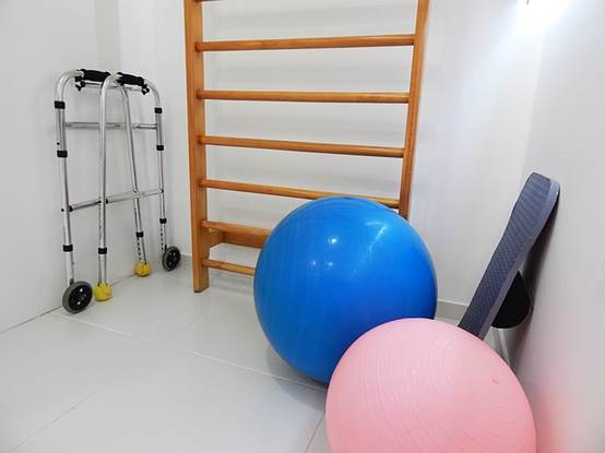 Imagen que contiene artículos para utilizar en terapia física como bolas, entre otros.