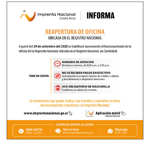 Lápices de sucursal real en rama lápiz titular 20 Lápices de Colores 7" con corteza 